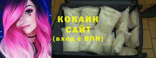 прущие грибы Вязники