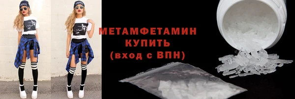 прущие грибы Вязники