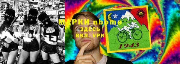 прущие грибы Вязники