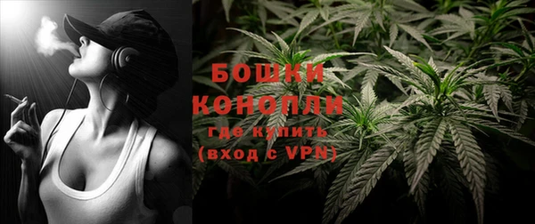 прущие грибы Вязники