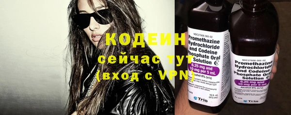 прущие грибы Вязники