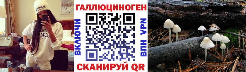 Галлюциногенные грибы GOLDEN TEACHER  Щёкино 